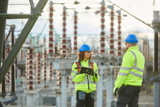 Best Affordable Electrical Installation  in Mount Plymouth, FL