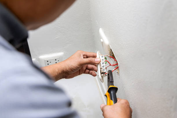 Best Electric Panel Repair  in Mount Plymouth, FL