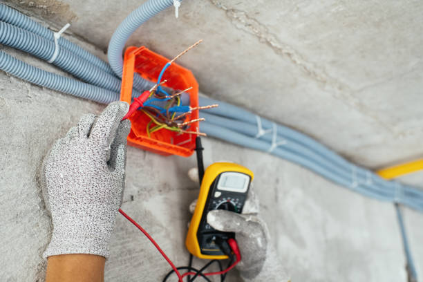Best Affordable Emergency Electrician  in Mount Plymouth, FL