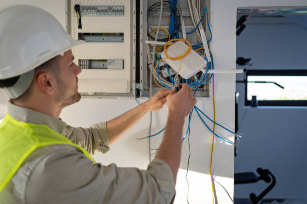 Best Electrical Upgrades for Homes  in Mount Plymouth, FL